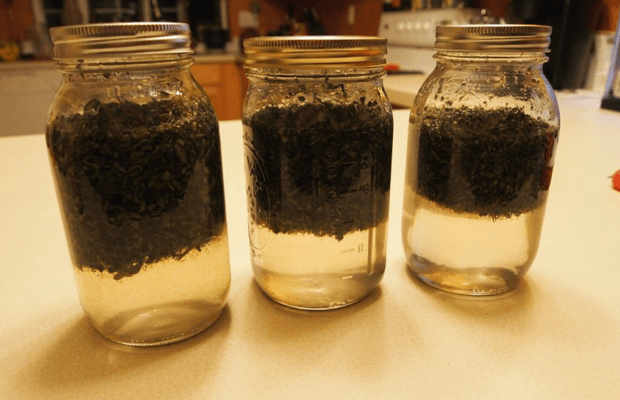 Aceite de oliva cannábica paso 2