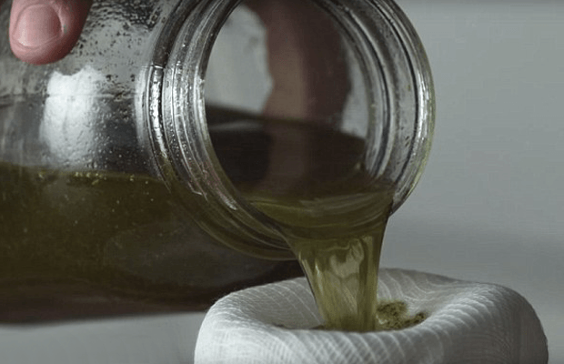 Aceite de oliva cannábico paso 3